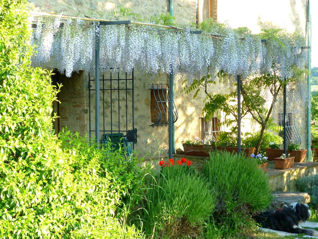 Agriturismo Apparita Montecastelli Pisano Esterno foto