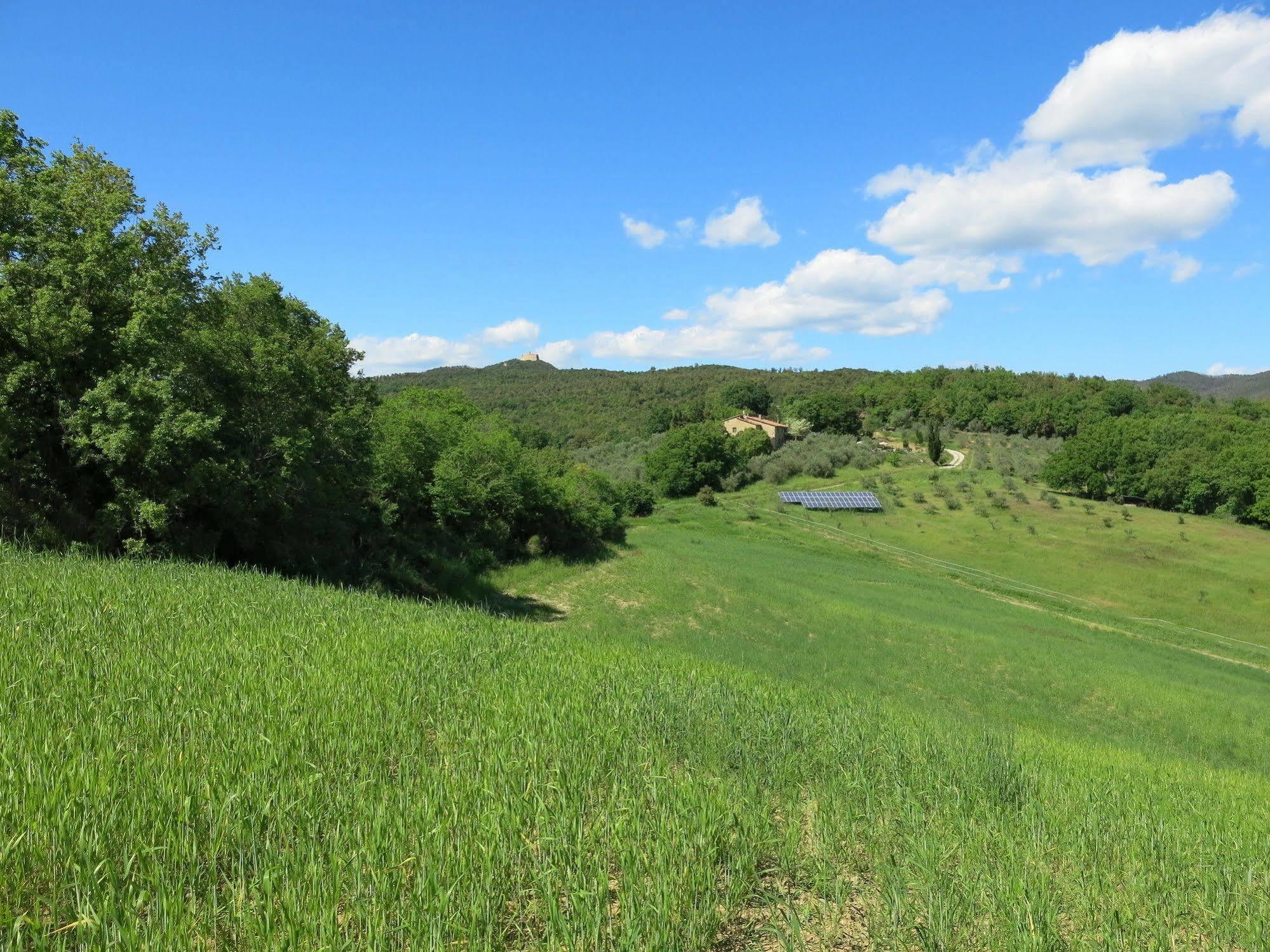 Agriturismo Apparita Montecastelli Pisano Esterno foto